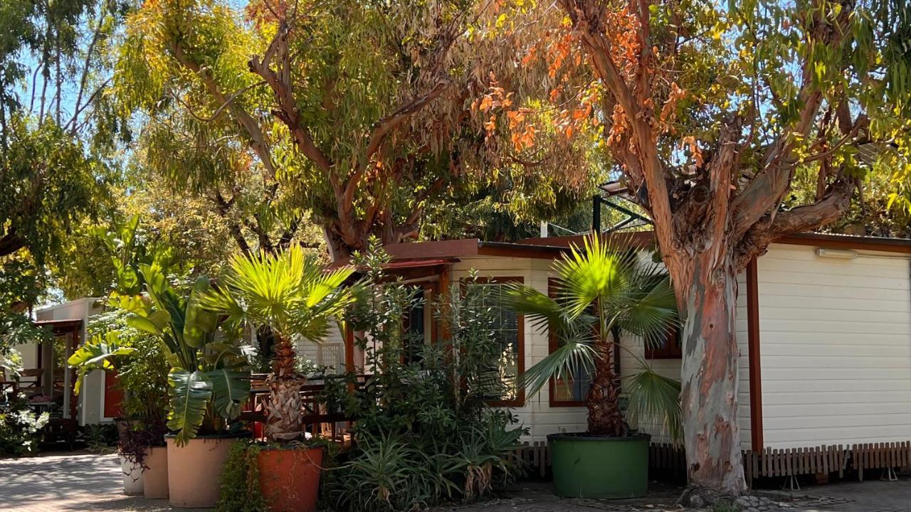 Villaggio Dei Fiori Sanremo Luaran gambar